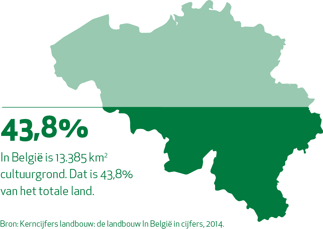 Cultuurgrond belgie